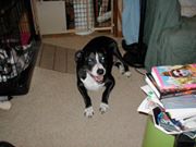 18658_317423925277_5780331_n